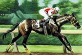 Thoroughbred, Equine Art - Fort Erie Racehorse